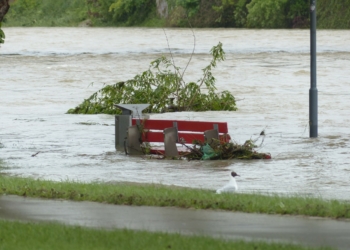 Klimagipfel schafft Grundlage für weltweite Umsetzung des Pariser Abkommens – Jetzt muss die Bundesregierung handeln