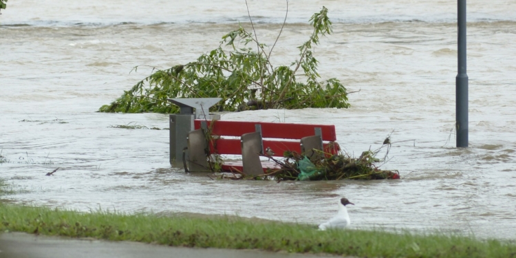 Klimagipfel schafft Grundlage für weltweite Umsetzung des Pariser Abkommens – Jetzt muss die Bundesregierung handeln