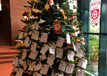 Möllner Wunscherfüller gesucht