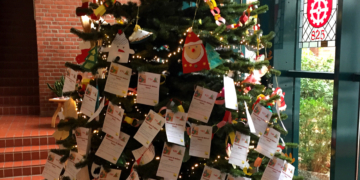 Möllner Wunscherfüller gesucht