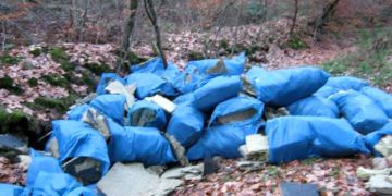 Umweltsünder gesucht