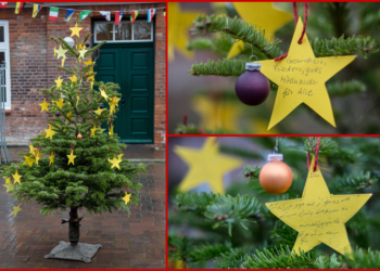 Die Evangelische Familienbildungsstätte Ratzeburg wünscht gesegnete Weihnachten und ein gutes Neues Jahr!