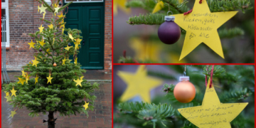 Die Evangelische Familienbildungsstätte Ratzeburg wünscht gesegnete Weihnachten und ein gutes Neues Jahr!