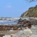 Neujahrsspaziergang: Edelsteine am Ostseestrand