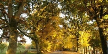 Aus dem Archiv: To Huus