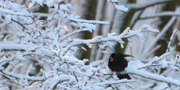 Die Ruhe vor der großen Kälte