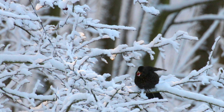 Die Ruhe vor der großen Kälte
