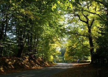 Aus dem Archiv: De Dörpstrat Nr. 9