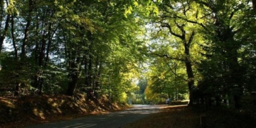 Aus dem Archiv: De Dörpstrat Nr. 9