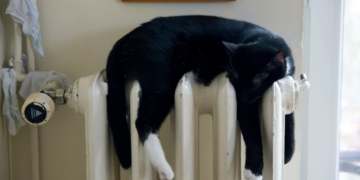 ‚Der Energiekiller‘ – Modernisierung von Heizung und Warmwasserbereitung