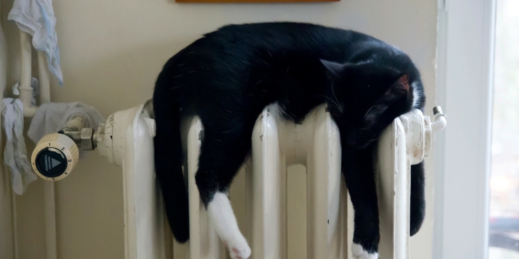 ‚Der Energiekiller‘ – Modernisierung von Heizung und Warmwasserbereitung