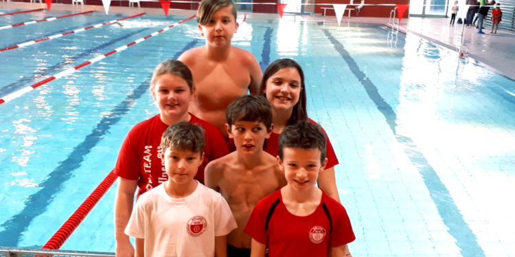 MSV-Schwimmen: Erfolgreicher Nachwuchstest in Hamburg Wilhelmsburg