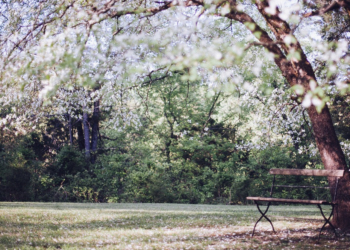 Aus dem Archiv: Wo de Leef hinfallt!