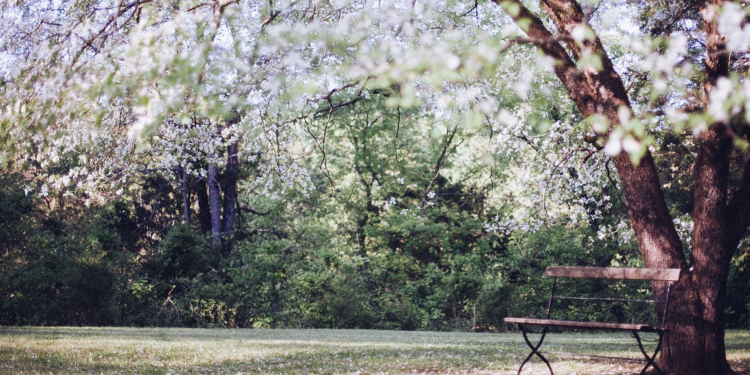 Aus dem Archiv: Wo de Leef hinfallt!