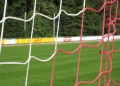 Fußball: Möllner Sportvereinigung trennt sich von Voigtländer