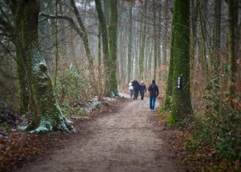 Tipp der Woche: Vitamin-D-Mangel vorbeugen
