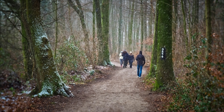 Tipp der Woche: Vitamin-D-Mangel vorbeugen