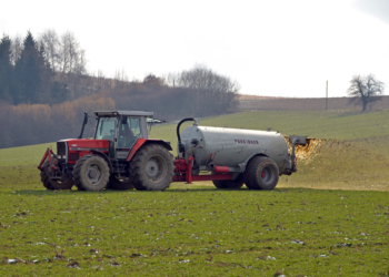 Antibiotika in Gülle: Biogasanlage keine Barriere