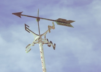 Aus dem Archiv: Herta