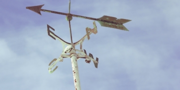 Aus dem Archiv: Herta