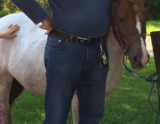 Nachruf zum Tod von Eduard Wehmeier