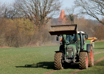 Vorfrühling im Februar