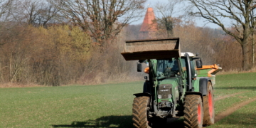 Vorfrühling im Februar