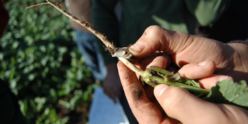 Berufswettbewerb der deutschen Landjugend 2019