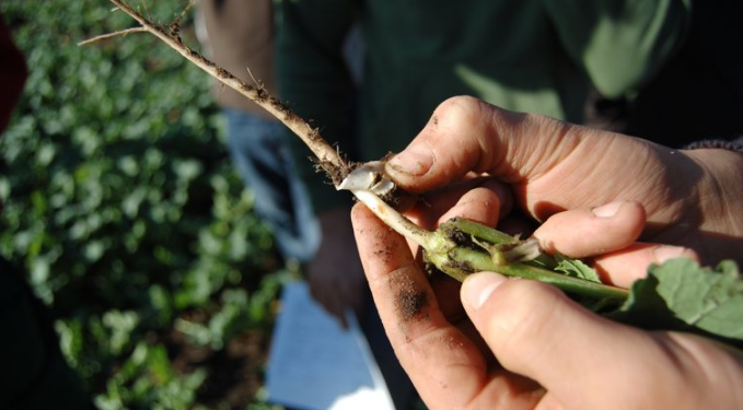 Berufswettbewerb der deutschen Landjugend 2019
