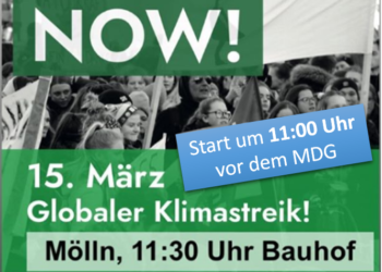 ‚Fridays For Future‘ auch in Mölln