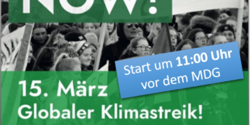 ‚Fridays For Future‘ auch in Mölln