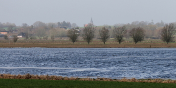 Wasser satt im Moor von Duvensee