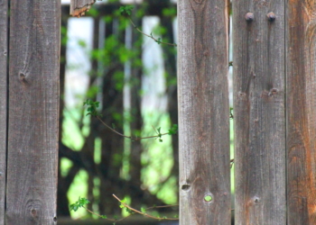 Auf dem Anker bricht der Frühling aus