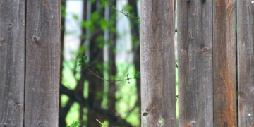 Auf dem Anker bricht der Frühling aus