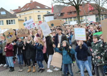 ‚Fridays For Future‘ – Schüler in Ratzeburg und Mölln schließen sich weltweiter Protestbewegung an