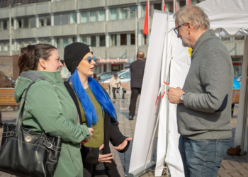 Bürgermeisterwahl in Ratzeburg: Kuchen für den guten Zweck ein voller Erfolg