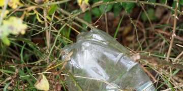 Müllsammel- und Dorfputzaktionen 2019 in den Gemeinden des Amtes Berkenthin