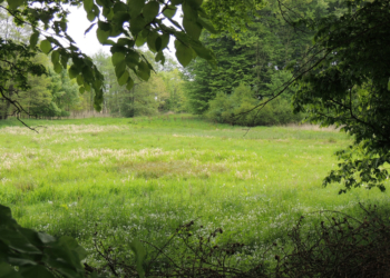 Naturschutzgebiet ‚Hakendorfer Wälder‘ in neuer Betreuung