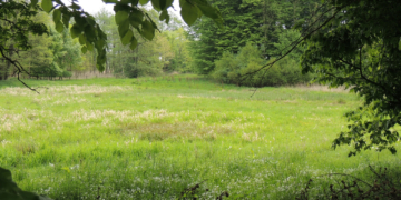 Naturschutzgebiet ‚Hakendorfer Wälder‘ in neuer Betreuung