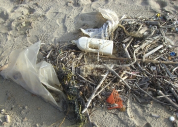 Plastik im Meer – Wie stoppen wir die Plastikflut?