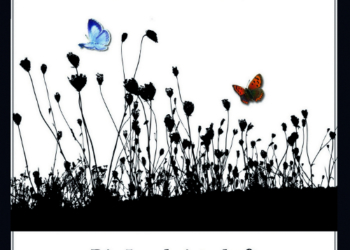 ‚Das Ende der Natur‘ – Lesung und Diskussion mit der Autorin Susanne Dohrn