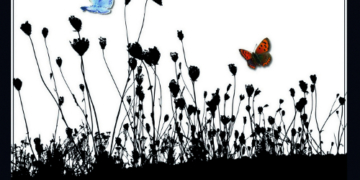 ‚Das Ende der Natur‘ – Lesung und Diskussion mit der Autorin Susanne Dohrn