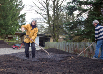 Neue bunte Vielfalt in der Brummelbrede