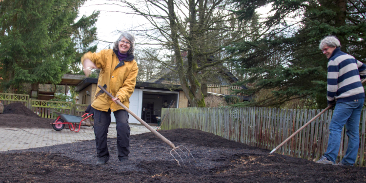 Neue bunte Vielfalt in der Brummelbrede
