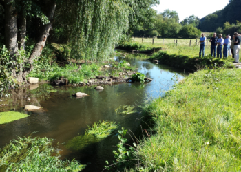 Ausstellung: Die Renaturierung der Steinau