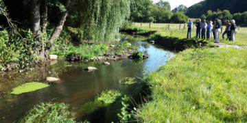 Ausstellung: Die Renaturierung der Steinau
