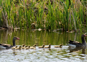 Alles fängt in der kleinen Welt an