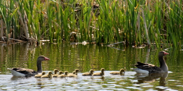Alles fängt in der kleinen Welt an