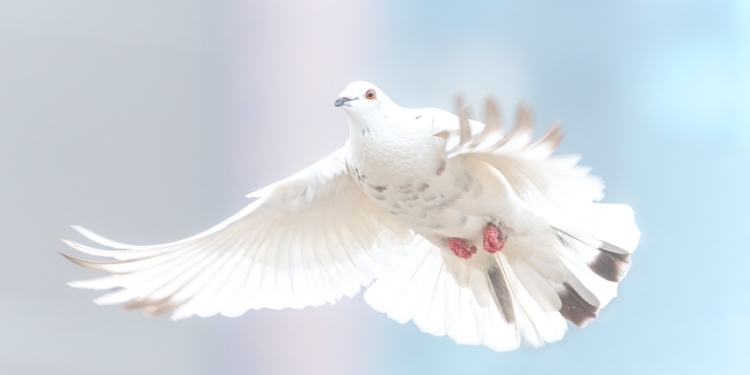 SPD ruft zum Oster-Friedensmarsch in Mölln auf