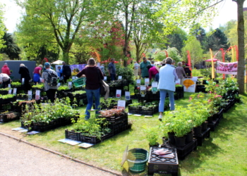 Sonniger Start in die Gartenromantik